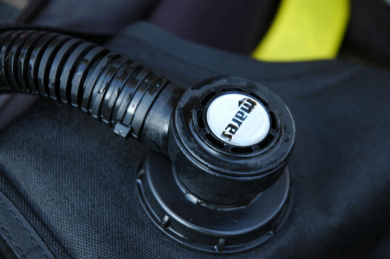 N1494