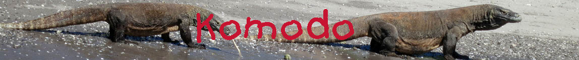 Komodo banner