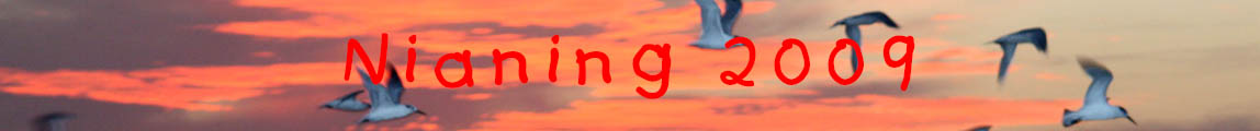 Nianing 2009 banner