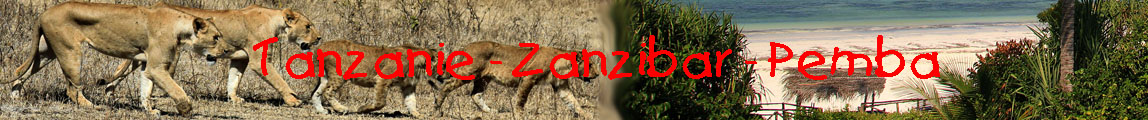 Tanzanie 2011 banner