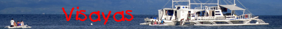 Visayas banner
